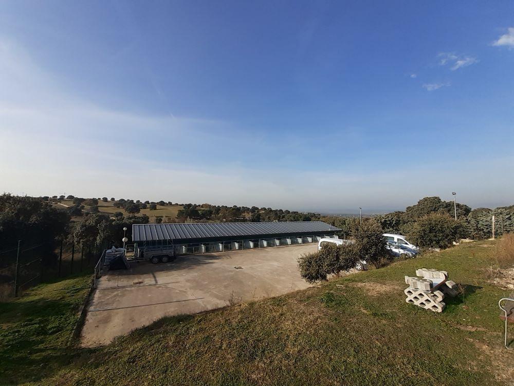 Imagen El CICAM impulsa las adopciones de perros y gatos en Majadahonda, superando las 10 mensuales