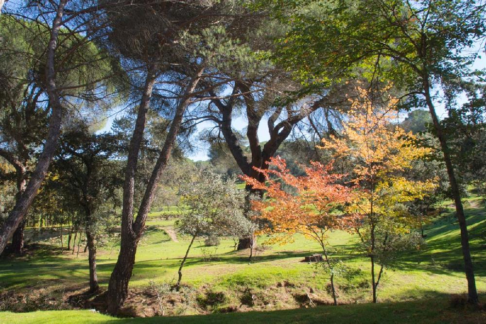 Imagen Majadahonda celebrará el Día del Medio Ambiente con rutas guiadas y talleres en el Monte del Pilar