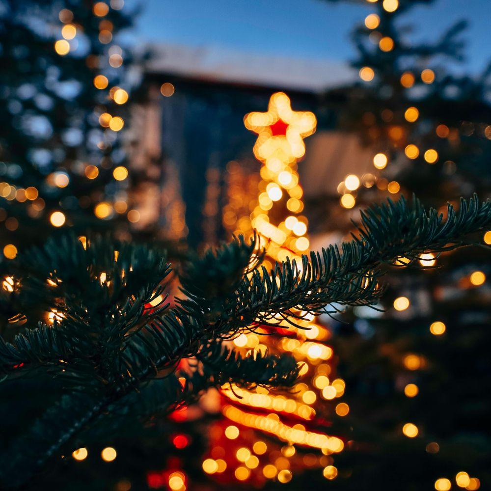 Iluminación Navidad.jpg