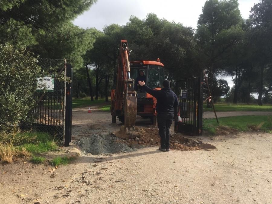 Imagen El Ayuntamiento toma medidas contra los jabalíes